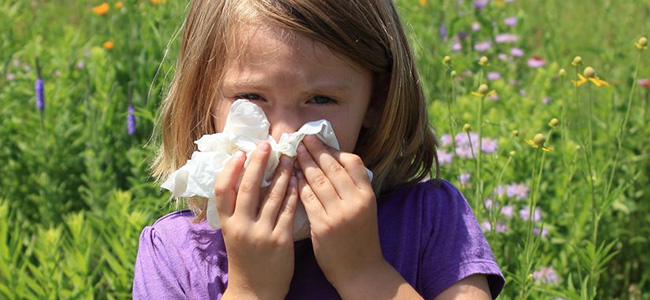 Horren met pollenwerend gaas (pollengaas)